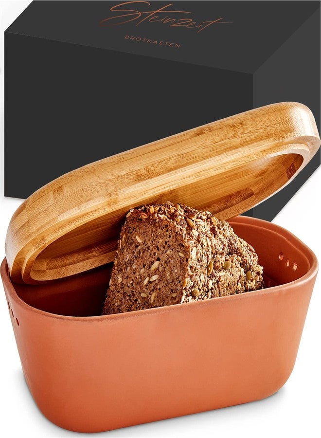 Steinzeit Bread Box Made from Breathable Terracotta (9.8x5.1x3.9 inches) - Keeps Bread Fresh Longer - Bread Box for Kitchen Countertop - Bread Storage for Homemade Sourdough Bread - Image 1